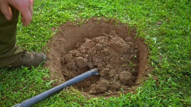 Male hands using a shovel to put excavated earth and soil back into a pit in a green lawn, engaging in gardening or landscaping work in the backyard on a sunny day