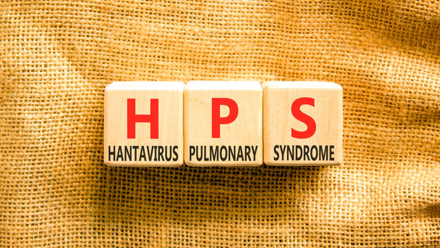 HPS hantavirus pulmonary syndrome symbol. Concept words HPS hantavirus pulmonary syndrome on beautiful wooden blocks. Beautiful canvas background. Medical HPS Hantavirus concept. Copy space.