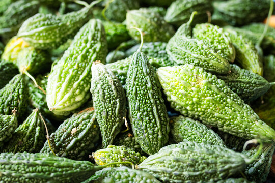 A pile of fresh green bitter melons showcasing detailed bumpy texture at a local market stall.