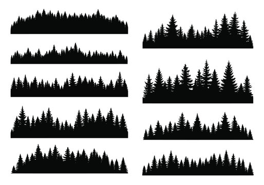 Black silhouettes of pine tree forest borders with evergreen woodland silhouettes background