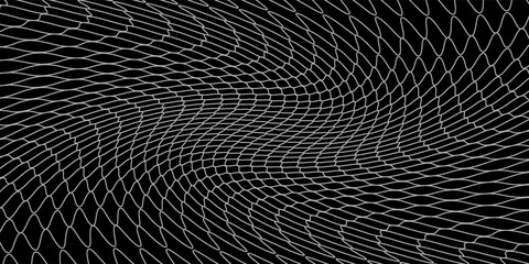 Fishing or soccer net. Repeated hexagon pattern. Black wired mesh texture isolated on white background.ilustrasion modern. © sodikin