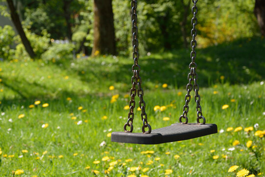 Swing and meadow