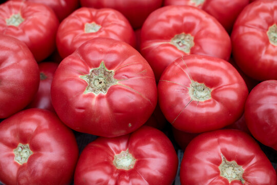extreme close-up of fresh large pink-red heirloom beefsteak tomatoes showing stem end detail with dried calyx, smooth skin and natural ribbing at market