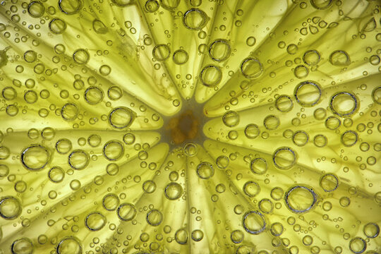 Slice of lime fruit with air bubbles, close-up