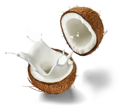 Two halves of a coconut and splashing coconut milk in front of white background