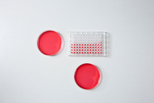 Germany, Bavaria, Munich, Test tray and petri dishes for medical research in laboratory