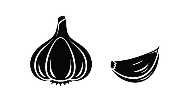 Garlic bulb and clove icon herb spice