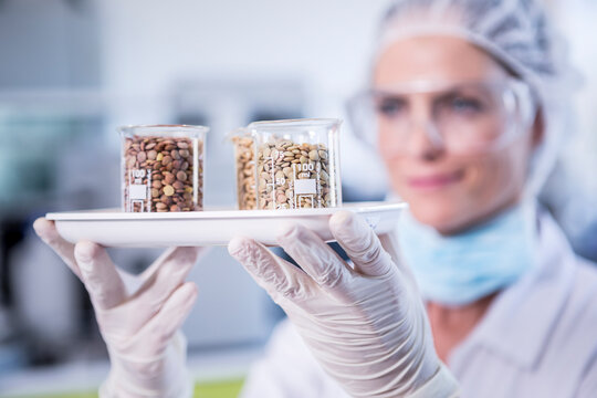 Scientist in lab holding tray with seed samples