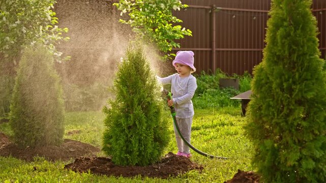 Charming little girl happily watering freshly planted thuja trees with a garden hose on a sunny day. A cheerful child helping with gardening chores in the backyard, spraying water on the plants