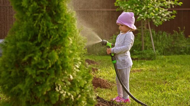 Adorable little girl helping in the garden, watering the green thuja tree with a spray hose on a sunny summer day. Child learning about gardening and enjoying outdoor activities in the backyard