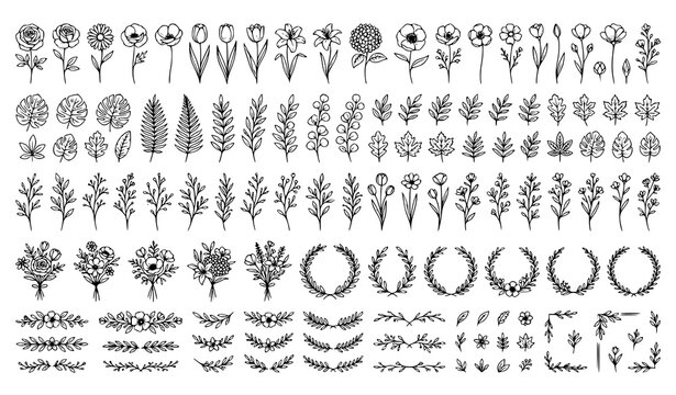 Sketch botanical plants vector bundle with minimalist floral line art illustrations
