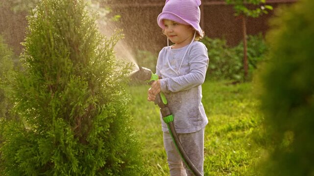 Cheerful young girl helping in the garden by watering a small thuja tree with a spray hose on a sunny summer day. Adorable kid enjoying outdoor activities and learning about plant care