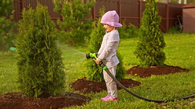 Cute happy child helping in the garden by watering freshly planted thuja trees with a garden hose on a sunny summer day. Little helper taking care of plants in the backyard