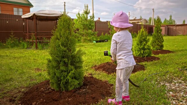 Diligent little girl in a pink hat holding a garden hose with a spray nozzle and watering freshly planted thuja trees in a residential backyard, helping with gardening chores