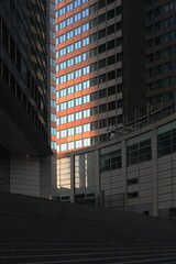 Fototapeta premium Hochhaus in Frankfurt