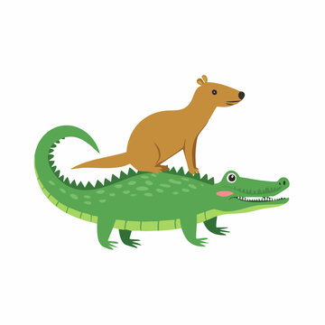 Cartoon Crocodile and Mongoose Illustration