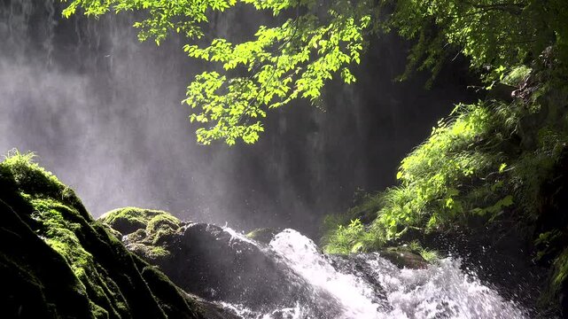滝の流れと苔の岩