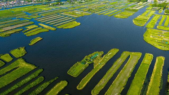 Aerial view of Oosterdel nature reserve featuring unique small islands and water channels under bright sunlight in Broek op Langedijk, Noord-Holland, Netherlands.