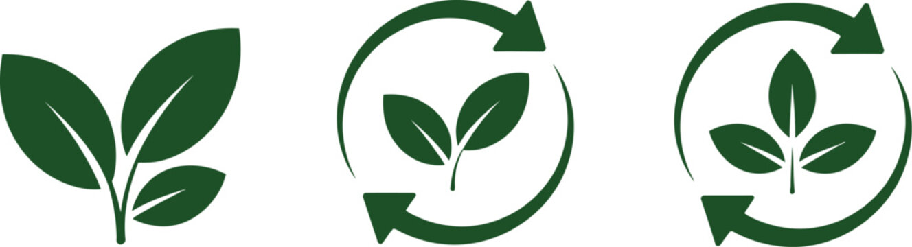 Green eco and recycle icons with leaves representing environmental protection, organic growth and sustainable living design