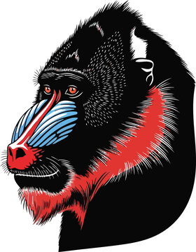 Portrait of a colorful mandrill monkey head illustration