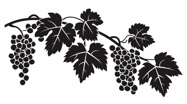 Black and white vector illustration of a grapevine with grapes and leaves