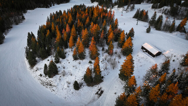 Aerial view of Col de la Faucille featuring golden-lit pine trees and a wooden cabin on snow-covered ski slopes in Gex, Auvergne-Rhone-Alpes, France.