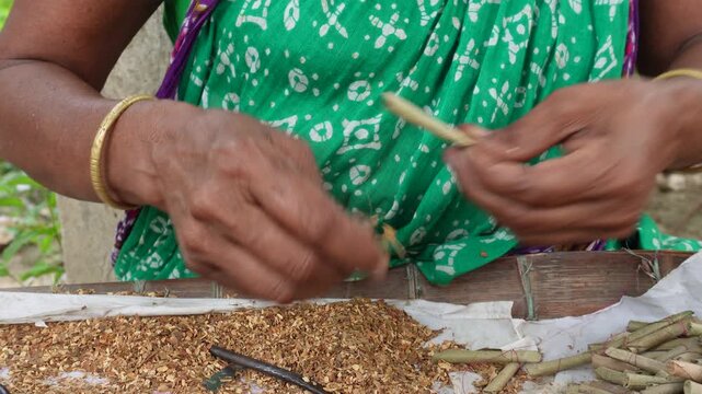 Handmade process of rolling bidi also called Indian cigarette.