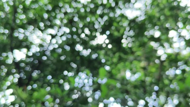 Simple seamless green and white color circular dots sparkle and shimmer blurred bokeh effect abstract texture for graphic design use. Dreamy, mysterious and peaceful leaves background.
