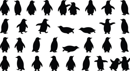 Penguin silhouettes collection featuring arctic wild birds in various poses standing walking and swimming isolated on white background © MDMizanur