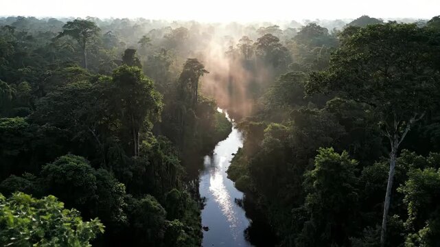 Captivating drone view deep jungle scene revealing winding river reflecting sunbeams, enveloped in cinematic mist within untouched tropical rainforest wilderness.