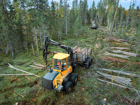 Timber harvesting in a forest using machinery from an aerial view during daytime