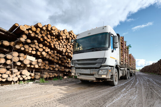 Wood transport truck moving along dirt road beside stacked logs in rural area