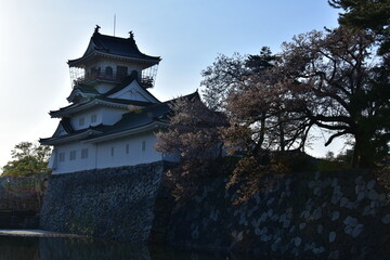 Naklejka premium 富山県 富山城（富山城公園～郷土博物館）