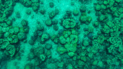 Obraz premium Top view of natural coral formations in shallow sea water with rippling sun reflections, perfect for summer vacation, snorkeling, and environmental conservation themes. concept environment lagoon.