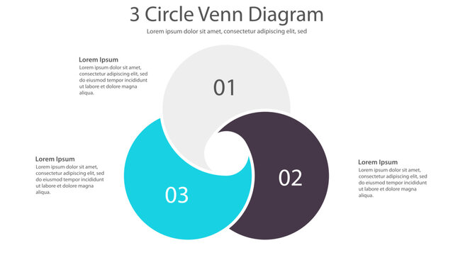 Three Circle Venn Diagram Infographic Template