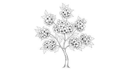 Fototapeta premium Detailed monochrome tree sketch with many clusters of flowers and leaves rendered in a classic hand-drawn artistic style on white.