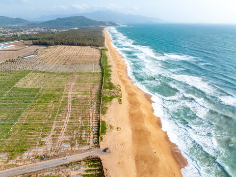 aerial view of waves on the beach