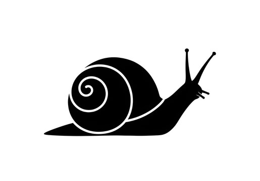 An artistic black-and-white silhouette illustration of a snail with a spiraling shell. The clean, simple, and elegant design symbolizes serenity and is ideal for a logo, icon, or brand identity.