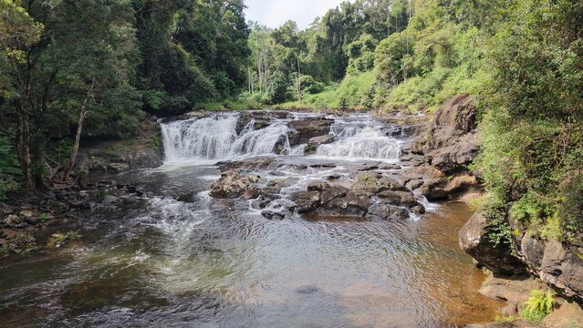 Whian Whian Falls cascading through lush subtropical rainforest creek in New South Wales, Australia