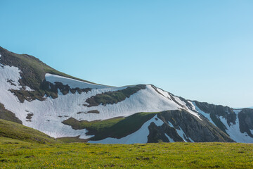 Scenic view from flowering grassy hilly meadow to snowy rocky mountain ridge under clear blue sky in sunny day. Horse shaped big snowfield on rockside. Glacier in shape of pony on rocks in bright sun. © Daniil