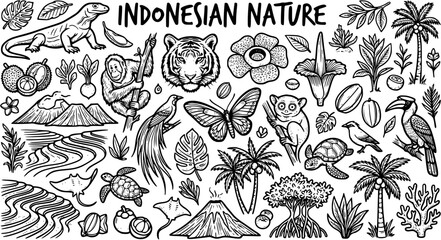 Indonesian Nature Black and White Line Art Doodle Vector Set. Tropical Wildlife, Animals, Plants, and Landscapes Collection for Travel and Ecosystem Themes. © emerland
