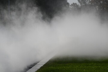 白い霧が立ち込める公園の広場 © apoptosis