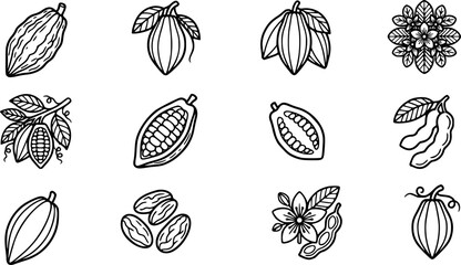 Cocoa Pod and Cacao Bean Hand Drawn Icon Set Vector Illustration © Abdullah