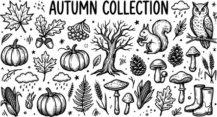 Black and White Line Art Autumn Collection: Pumpkins, Squirrel, Owl, Tree, Mushrooms, Acorns, Corn, Leaves, Boots, Pinecones, Clouds, Raindrops © emerland