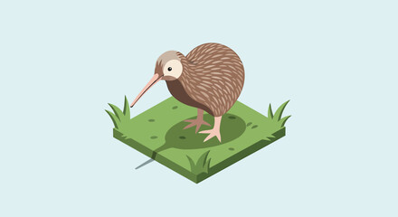 Obraz premium Isometric Kiwi Bird Standing on Green Grass Square.
