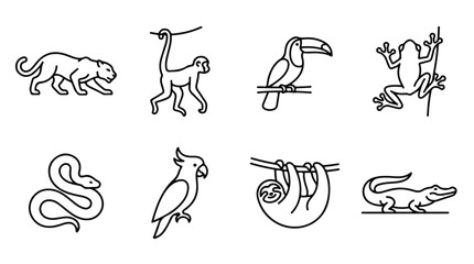 Tropical jungle animals line icon set, 8 rainforest wildlife vector illustrations, minimalist exotic zoo animal silhouettes for education and web design © Saad