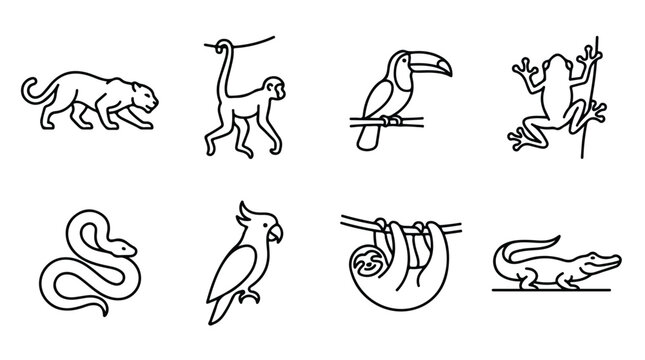 Tropical jungle animals line icon set, 8 rainforest wildlife vector illustrations, minimalist exotic zoo animal silhouettes for education and web design