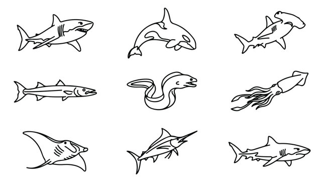 Minimalist sea life line art icons, set of 9 aquatic animal vector illustrations, black and white shark and whale silhouettes for marine biology education