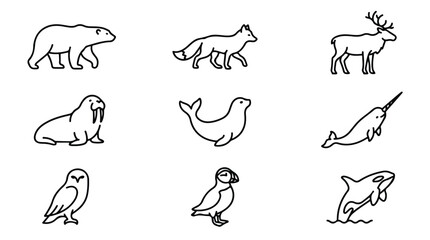 Minimalist arctic animal icons set, 9 polar wildlife line art vectors, simple black outline illustrations of northern fauna for nature branding © Saad