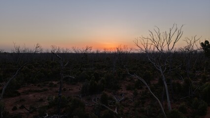 Fototapeta premium Hyden–Norseman Highway, Western Australia – 4K aerial drone view of remote outback dirt road, bushland landscape and sunset horizon